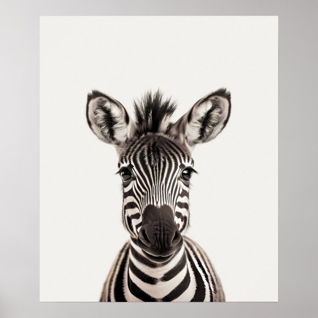Baby Safari African Jungle Animals Zebra Poster (Vorne)