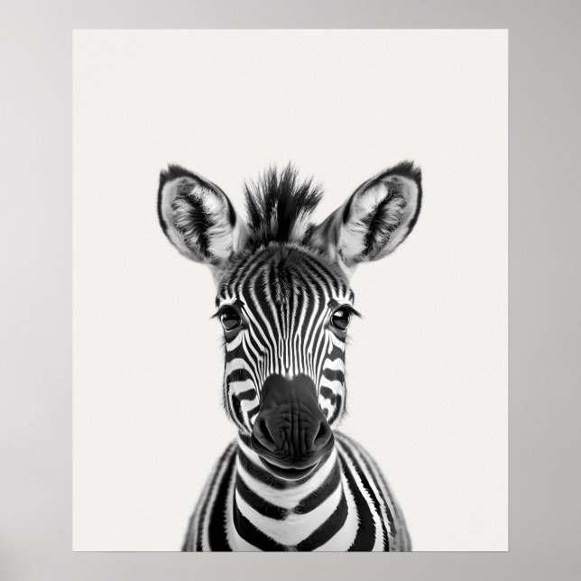 Baby Safari African Jungle Animals Zebra Poster (Vorne)