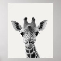 Baby-Safari Afrikanische Dschungeltiere Giraffe