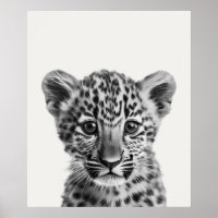 Baby-Safari Afrikanische Dschungeltiere Leopard