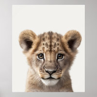 Baby-Safari Afrikanische Dschungeltiere Löwenjunge