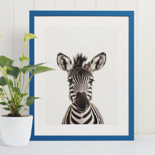 Baby-Safari Afrikanische Dschungeltiere Zebra Poster