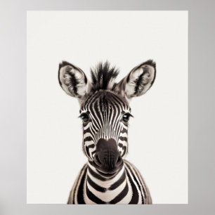 Baby Safari Afrikanische Dschungeltiere Zebra Poster