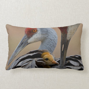 Baby Sandhill Lendenkissen