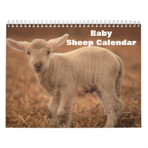 Baby-Schaf Lamm 2027 Kalender