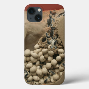 Baby-Schildkröte-Ei-Ausbrüten Case-Mate iPhone Hülle
