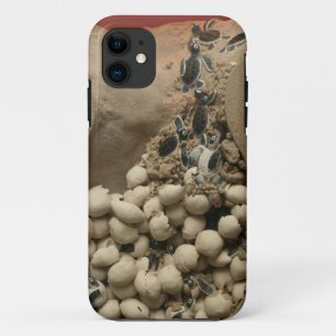 Baby-Schildkröte-Ei-Ausbrüten Case-Mate iPhone Hülle