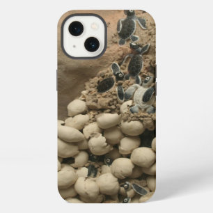 Baby-Schildkröte-Ei-Ausbrüten iPhone 13 Hülle