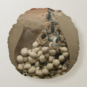 Baby-Schildkröte-Ei-Ausbrüten Rundes Kissen