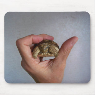 Baby-Schildkröte Mousepad