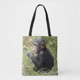 Baby-Schimpanse  Pan Troglodytes