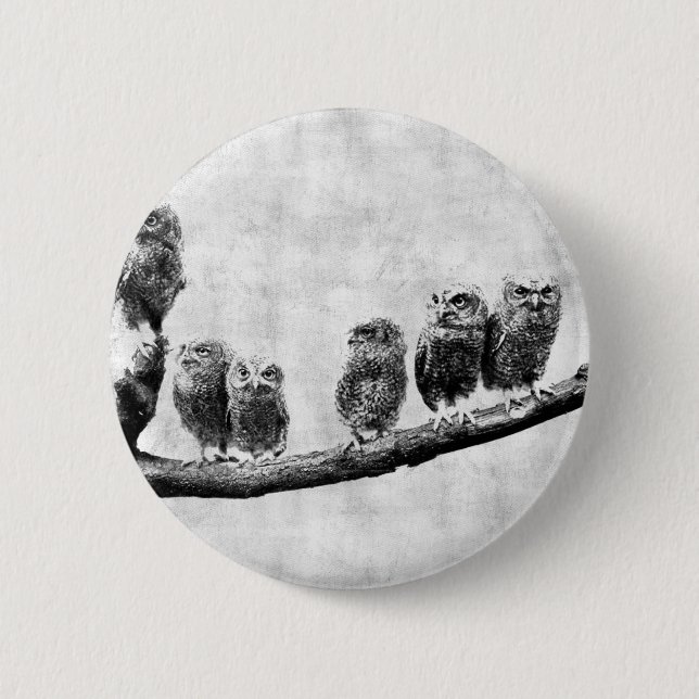 Baby-Schreieulen-Knopf Button (Vorderseite)