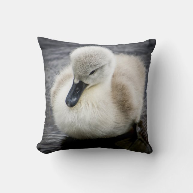 Baby-Schwan| Cygnet Kissen (Vorderseite)