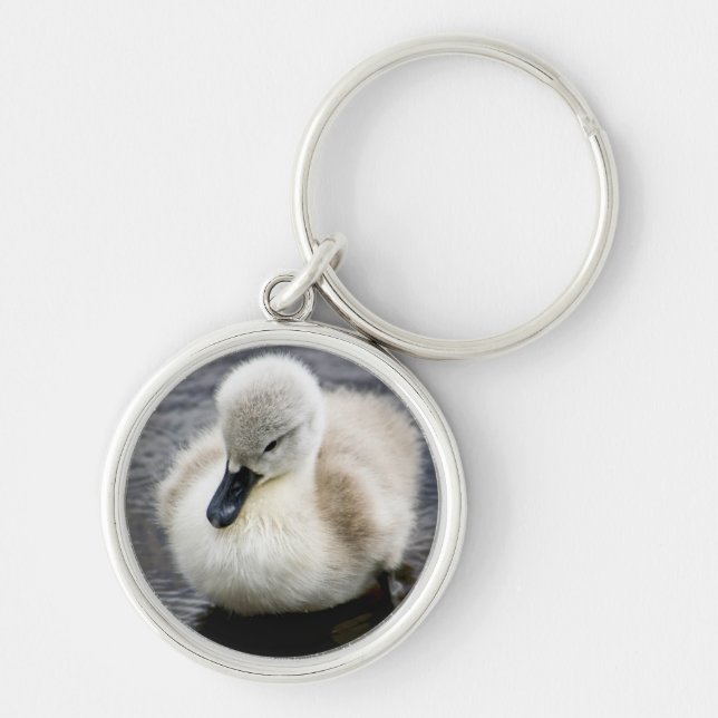 Baby-Schwan| Cygnet Schlüsselanhänger (Vorne)