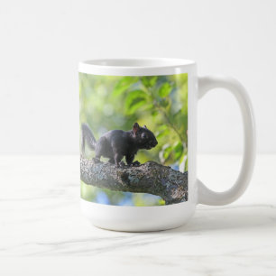 Baby-schwarzes Eichhörnchen Tasse
