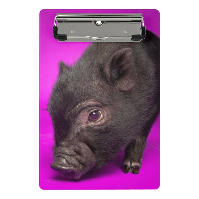 Baby-schwarzes Schwein Mini Klemmbrett (Vorderseite)