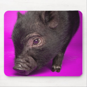 Baby-schwarzes Schwein Mousepad