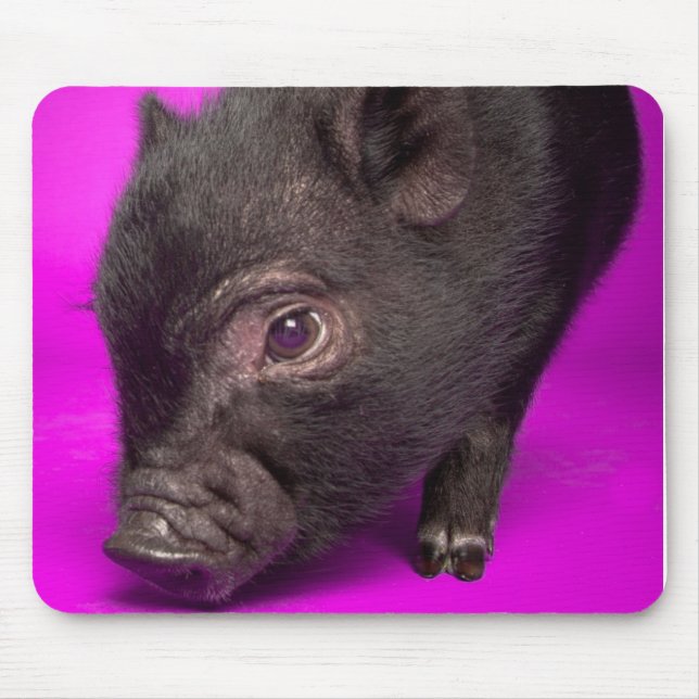 Baby-schwarzes Schwein Mousepad (Vorne)