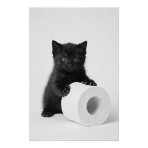 Baby Schwarzkätzchen bewacht Toilettenpapierrolle  Poster