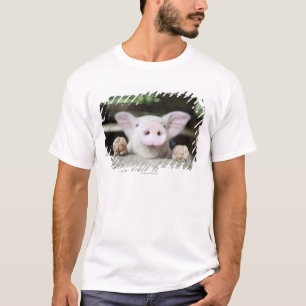 Baby-Schwein im Stift, Ferkel T-Shirt