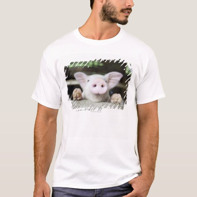 Baby-Schwein im Stift, Ferkel T-Shirt (Vorderseite)