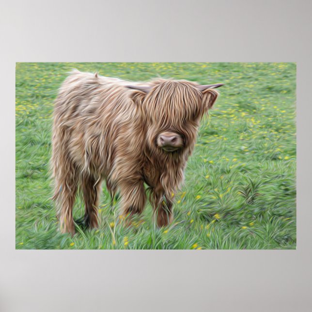 Baby Scotland Highland Cow Poster (Vorne)