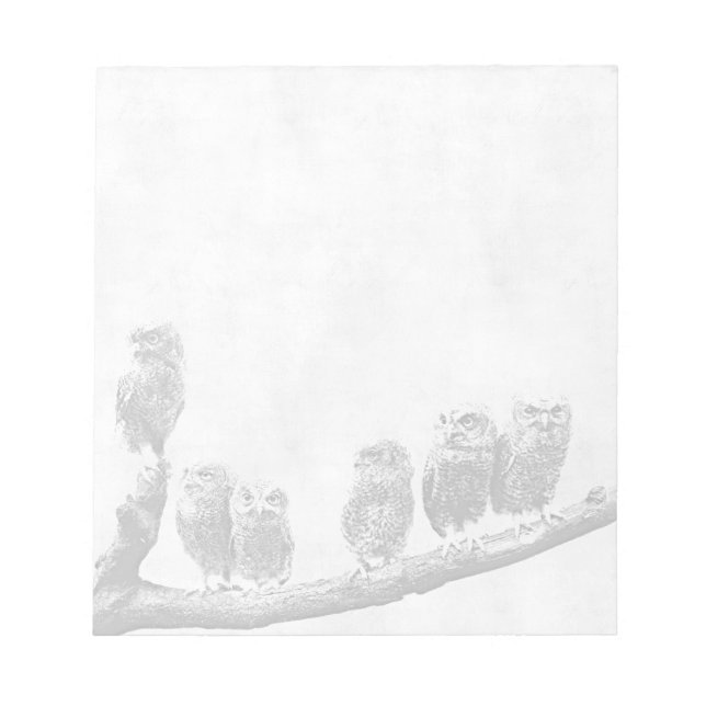 Baby Screech Owls Notepad Notizblock (Vorderseite)