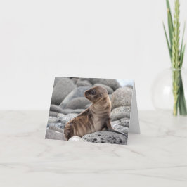 Baby Sea Lion Greeting Card Karte