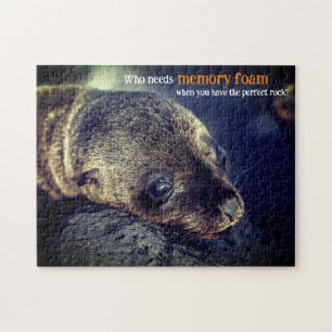 Baby Sea Lion Puzzle
