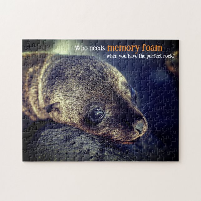 Baby Sea Lion Puzzle (Horizontal)