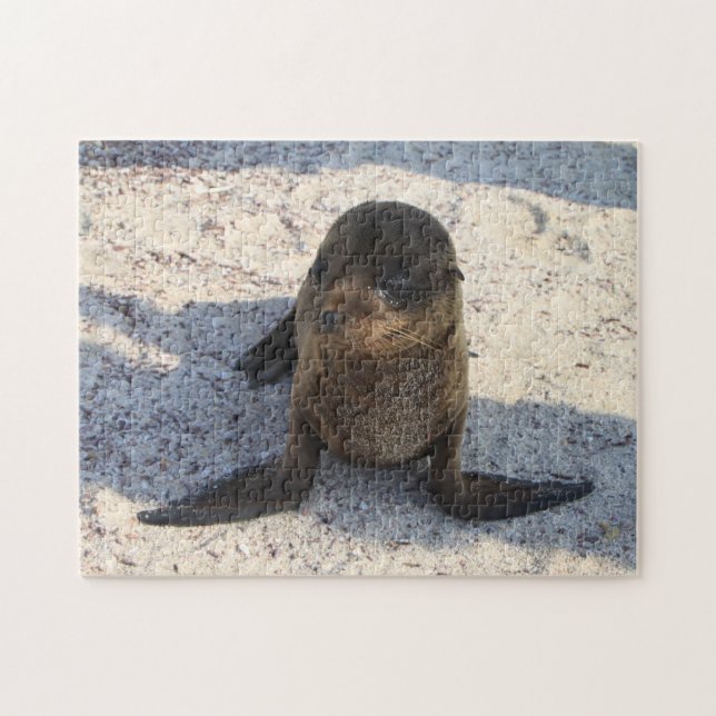Baby Sea Lion Puzzle (Horizontal)