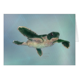Baby Sea Turtle