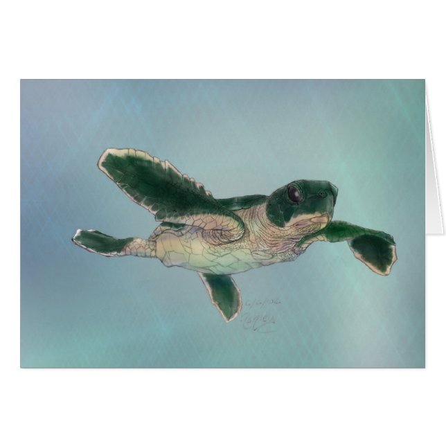 Baby Sea Turtle (Vorderseite (Horizontal))