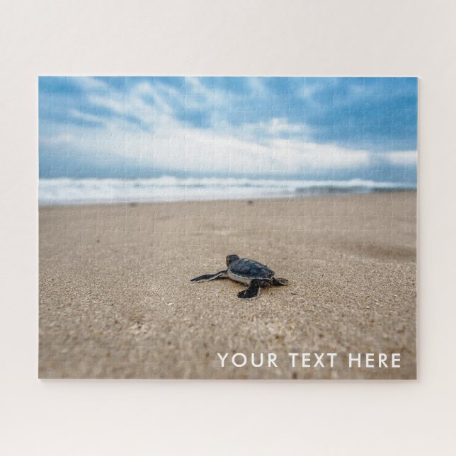 Baby Sea Turtle Foto Jigsaw Puzzle (Horizontal)