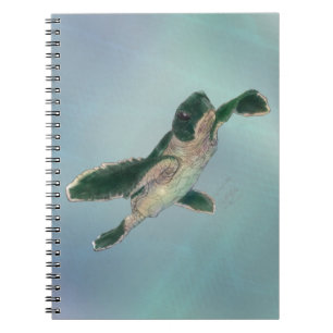 Baby Sea Turtle Notizblock