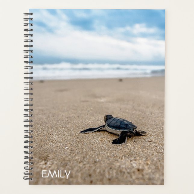 Baby Sea Turtle Personalisiert Plane Planer (Vorderseite)
