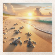 Baby Sea Turtles auf dem Weg zum Ozean am Strand