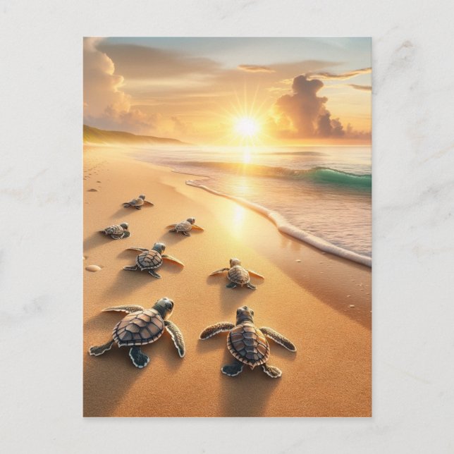 Baby Sea Turtles auf dem Weg zum Ozean am Strand Postkarte (Vorderseite)