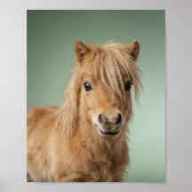 Baby Shetland Pony Porträt – Süßes Kinderzimmer Ti