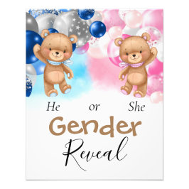 Baby Shower Teddy Balloons Gender Reveal Fotodruck