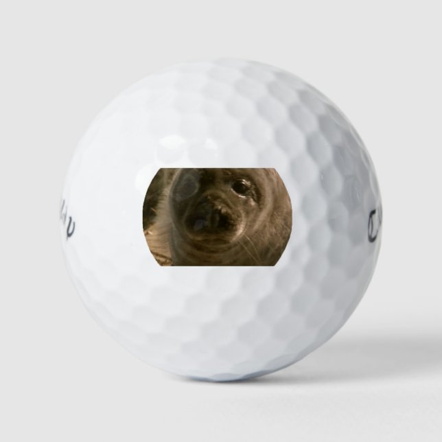 Baby Siegel gegenüber Golfplätzen Golfball (Vorderseite)