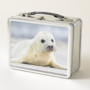 Baby-Siegel Getty Bild-  Metall Lunch Box