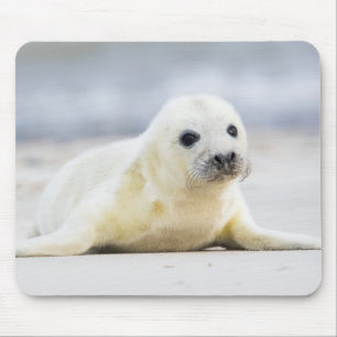 Baby-Siegel Getty Bild-  Mousepad