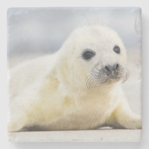 Baby-Siegel Getty Bild-  Steinuntersetzer