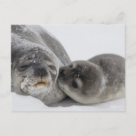 Baby Siegel Kissing Mama Postkarte