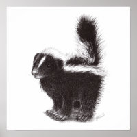 Baby Skunk Poster
