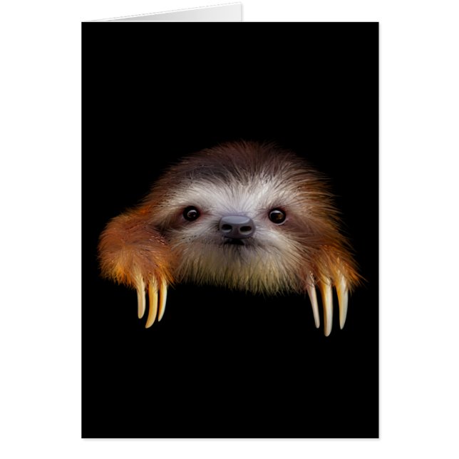 Baby Sloth (Vorne)