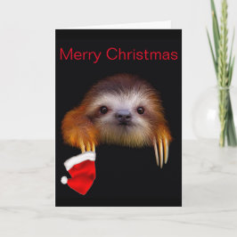Baby Sloth Christmas Card Feiertagskarte