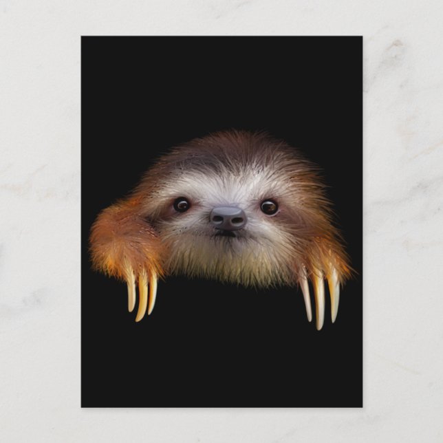 Baby Sloth Postkarte (Vorderseite)