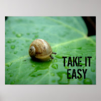 Baby Snail